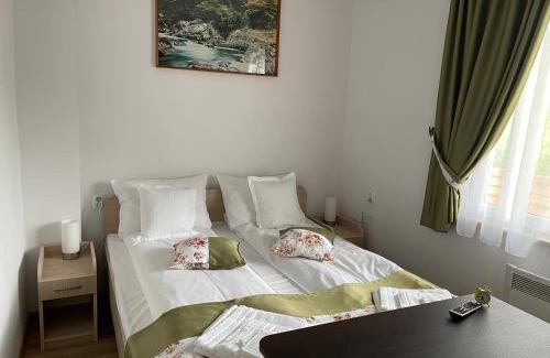 Odorheiu Secuiesc House | Gizella vendégház