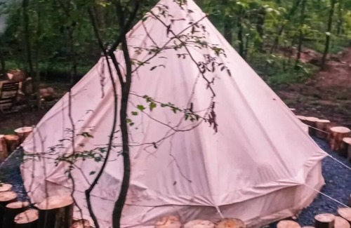 Adairsville RV Rental | Glamping at Honea's Holler site 1