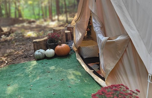 Adairsville RV Rental | Glamping at Honea's Holler site 1