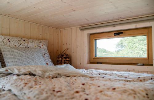 Golcuv Jenikov Other | Glamping Meze