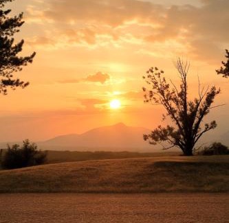 Palaia Other | Glamping Podere Poggiagrilli