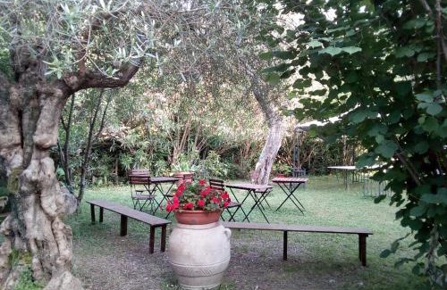 Fosdinovo Bed & Breakfast | Gli Ulivi Bed & breakfast