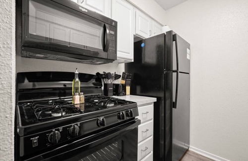 Skyview Apartment | Glowing Green Studio | Stay for ACL/F1/Etc!