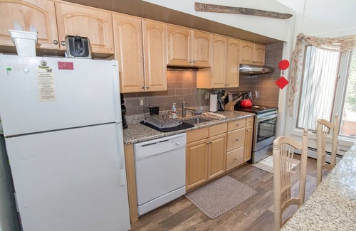 Peak 8 Condo | Gold Camp Placer Condo: On Shuttle Route