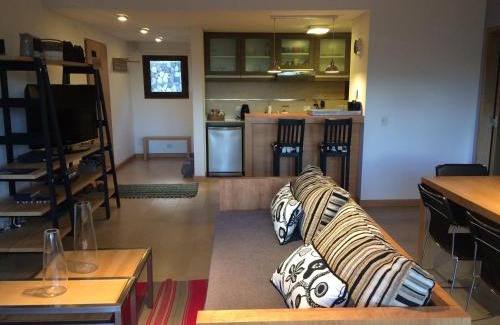 Lanin National Park Apartment | Golf y Polo Apartment