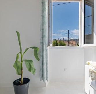 Golfe Juan Apartment | Golfe Juan T2 Mezzanine 40m²+ Parking