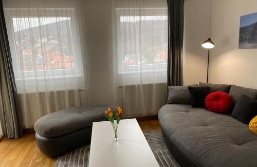 Golubac Apartment | Golubica