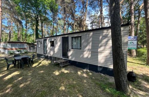 Bocholt Other | Goolderheide 369