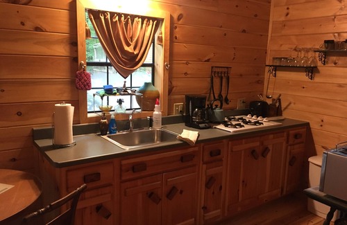 Trumansburg Cabin | Gorgeous cabin for on lakefront property!