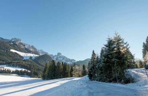 Annaberg im Lammertal Ski Chalet | Gorgeous Chalet in Annaberg-Lungötz with shared Pool