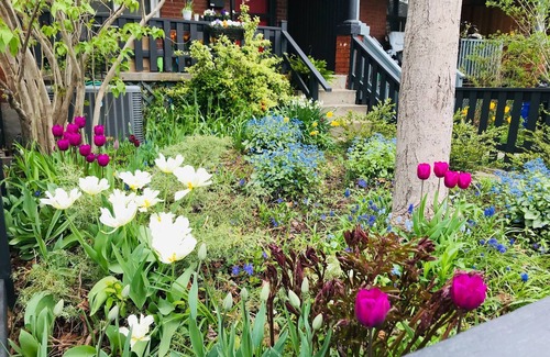 Palmerston House | Gorgeous house on quiet residential street in downtown Toronto!