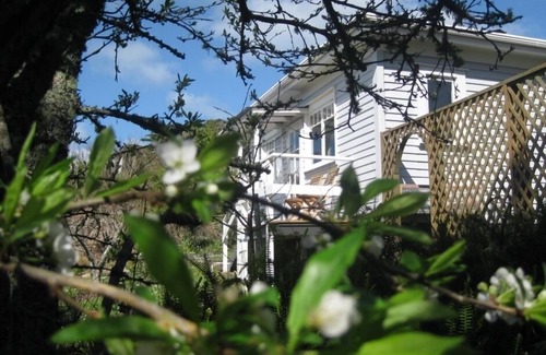 Oneroa House | Gorgeous Plum Tree Cottage