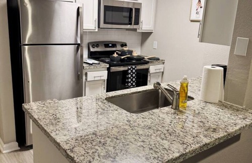 Astrodome Apartment | Gothic Blush | King 2Bed near TMC & infront of NRG