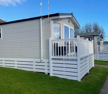 Paignton Other | Gracie