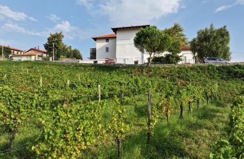 Kojsko Bed & Breakfast | Grad Kojsko