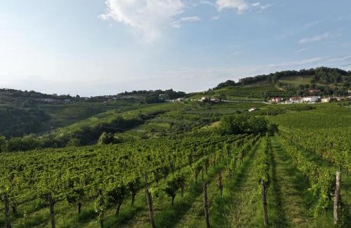 Kojsko Bed & Breakfast | Grad Kojsko