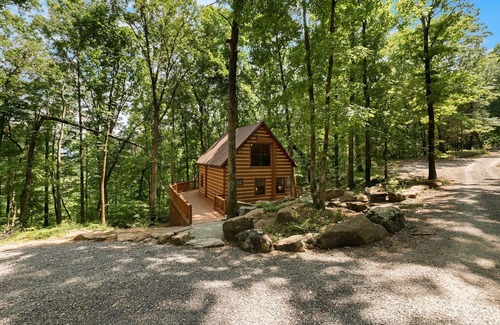 Trenton Cabin | Grady's Hideaway in Trenton