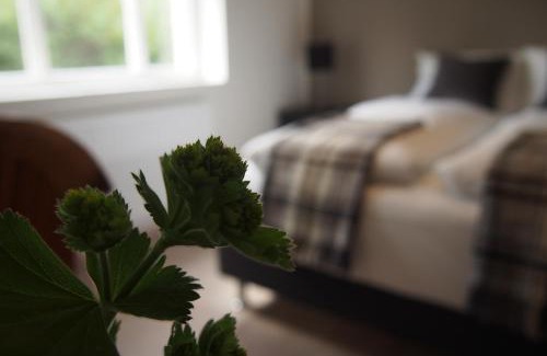 Husavik House | Granastaðir Guesthouse