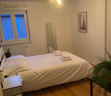 Plobsheim Apartment | Grand 2 pièces Eurométropole de Strasbourg proche Europa Park avec terrasse