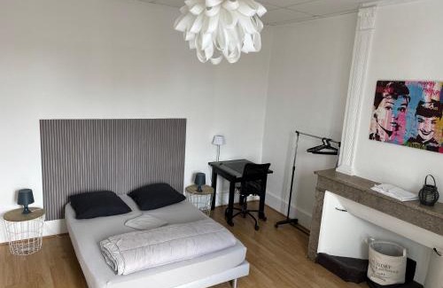 Romans-sur-Isere Apartment | Grand 2 pièces lumineux plein centre ville