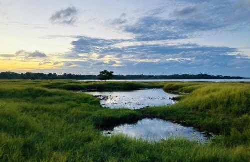 Anuradhapura House | Grand Refuge wilpathu safari Home made foods Bikes Bicycles Tuk tuk Bird view Lake jogging
