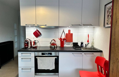 Pully Apartment | Grape Place with washing machine