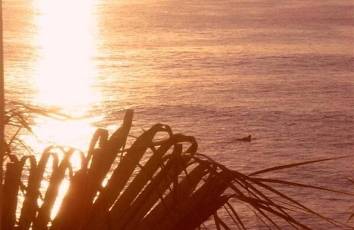 San Jose del Cabo Condo | Great Beachfront one bedroom condo, beautiful view, Mexico San Jose del Cabo.n