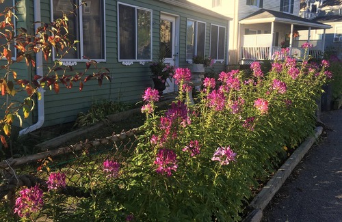 Hull House | Great Location on pond 1 minute from beautiful beach