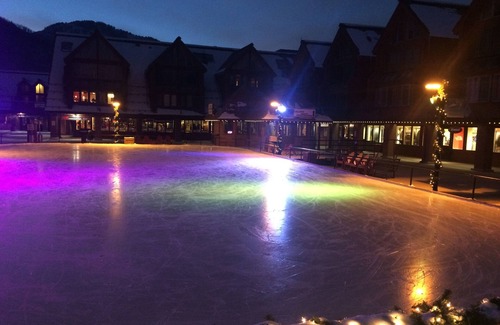 North Park City Villa | Great price! In/out first class skiing,