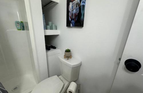 Johnstown Apartment | GREAT VALUE 1 Bedroom Apt 3 Beds Newly Renovated