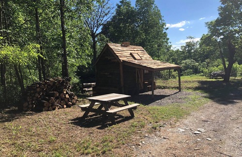 Town of Sempronius Cabin | Green Acres Cabin at Turn Back Time - Reconnect with Nature