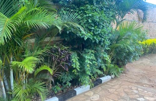 Mityana House | Green Enchantment Home