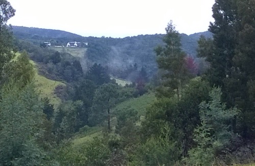 Bitou Apartment | Green Hills Forest Lodge, The Crags, Plettenberg Bay, South Africa - UNIT 2