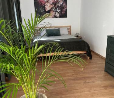 Stara Susica House | Green House