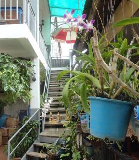 Siem Reap Bed & Breakfast | Green Park Village Guesthouse