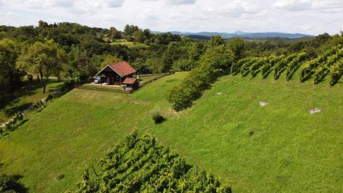 Tuhelj House | Green Peak