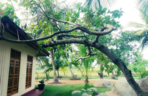Nochchiyagama House | Green sapphire holiday resort wilpaththu