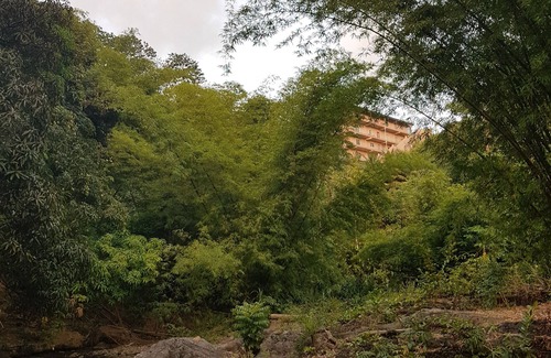 Arima Apartment | Greene Kairi (Arima) near Asa Wright Nature Centre