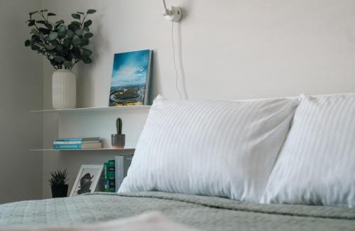 Birstonas Apartment | Grey Green Studio Apartment