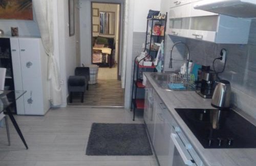 Terezvaros Apartment | Grey Orchid Apartment - studio