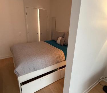 Griffintown Apartment | Griffintown luxury 1 open bedroom apartment