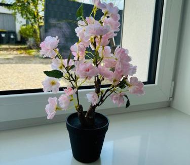 Merzig House | Große 2 Ferienwohnung Gästehaus NEUBAU Merzig 100 m2