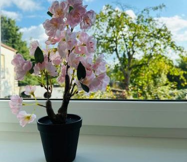 Merzig House | Große 2 Ferienwohnung Gästehaus NEUBAU Merzig 100 m2