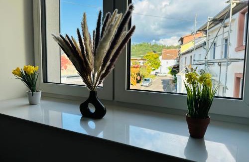 Merzig House | Große 2 Ferienwohnung Gästehaus NEUBAU Merzig 100 m2