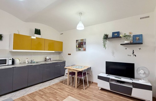 Zizkov Apartment | Ground Floor Apartment