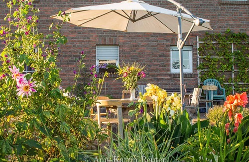 Lancken-Granitz Apartment | Ground floor - Lancken Granitz - Pension Zum Neuensiener See - RZV