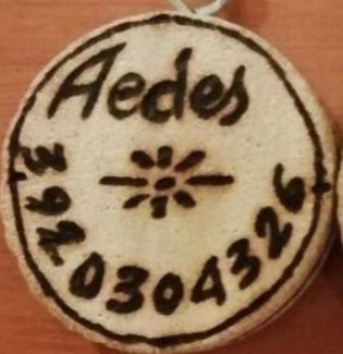 Pivarada Apartment | Gruppo Aedes Alghero, Residenza Michelangelo - 500 mt dalla spiaggia