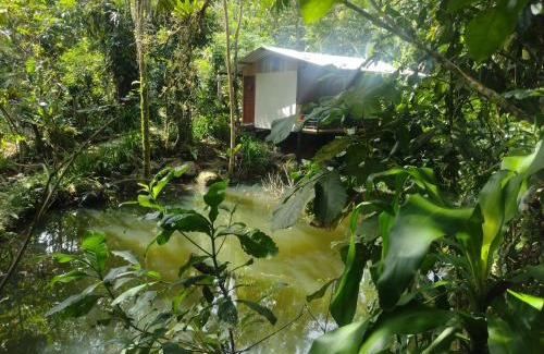 La Tigra Hotel | Guapote Lodge