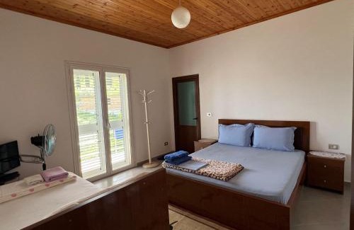 Berat House | Guest House Emiljos Flamur