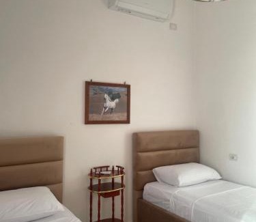 Berat Apartment | Guest House Irvin